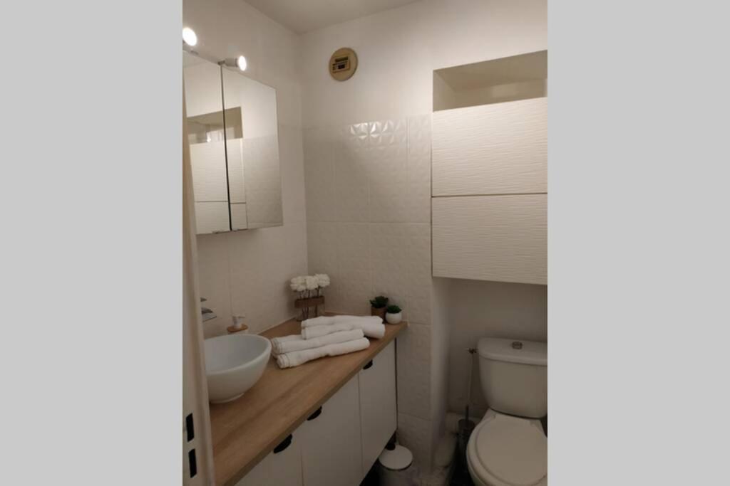 Studio Climatise, 50 M De La Prom, Wifi Nizza Kültér fotó